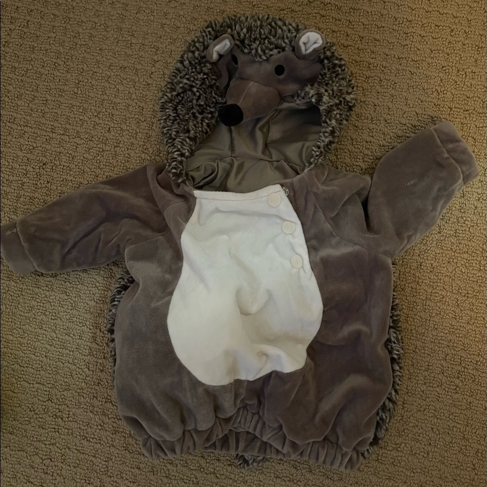 Hedgehog Halloween Costume